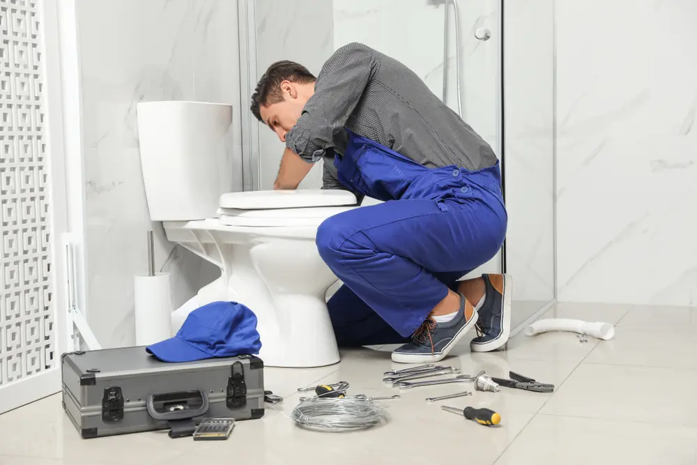 Toilet Repair in Maalaea